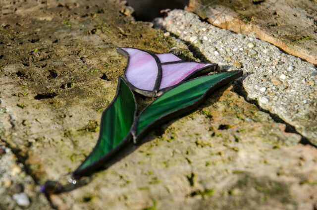 Tulipán