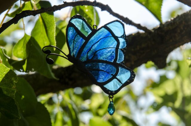 Pillangó (kétféle üvegből)