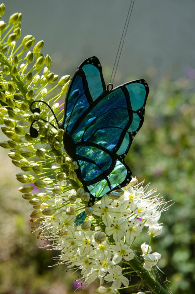 Pillangó (kétféle üvegből)